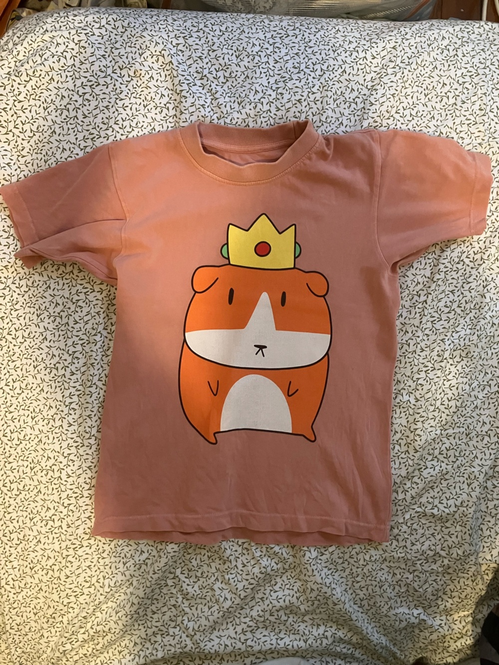Salmon Princess Guinea Pig Streetwear T- Shirt